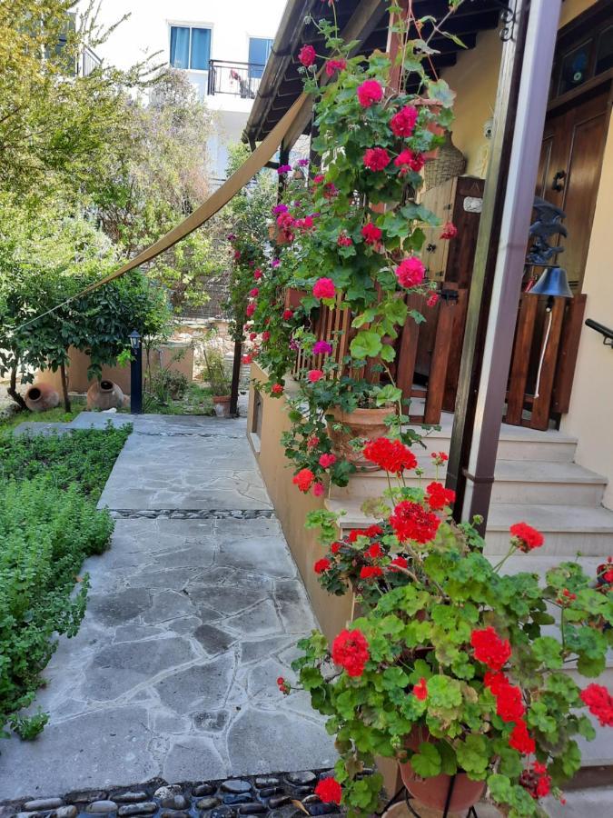 Villa Vasilion Agrotourism Polis Esterno foto