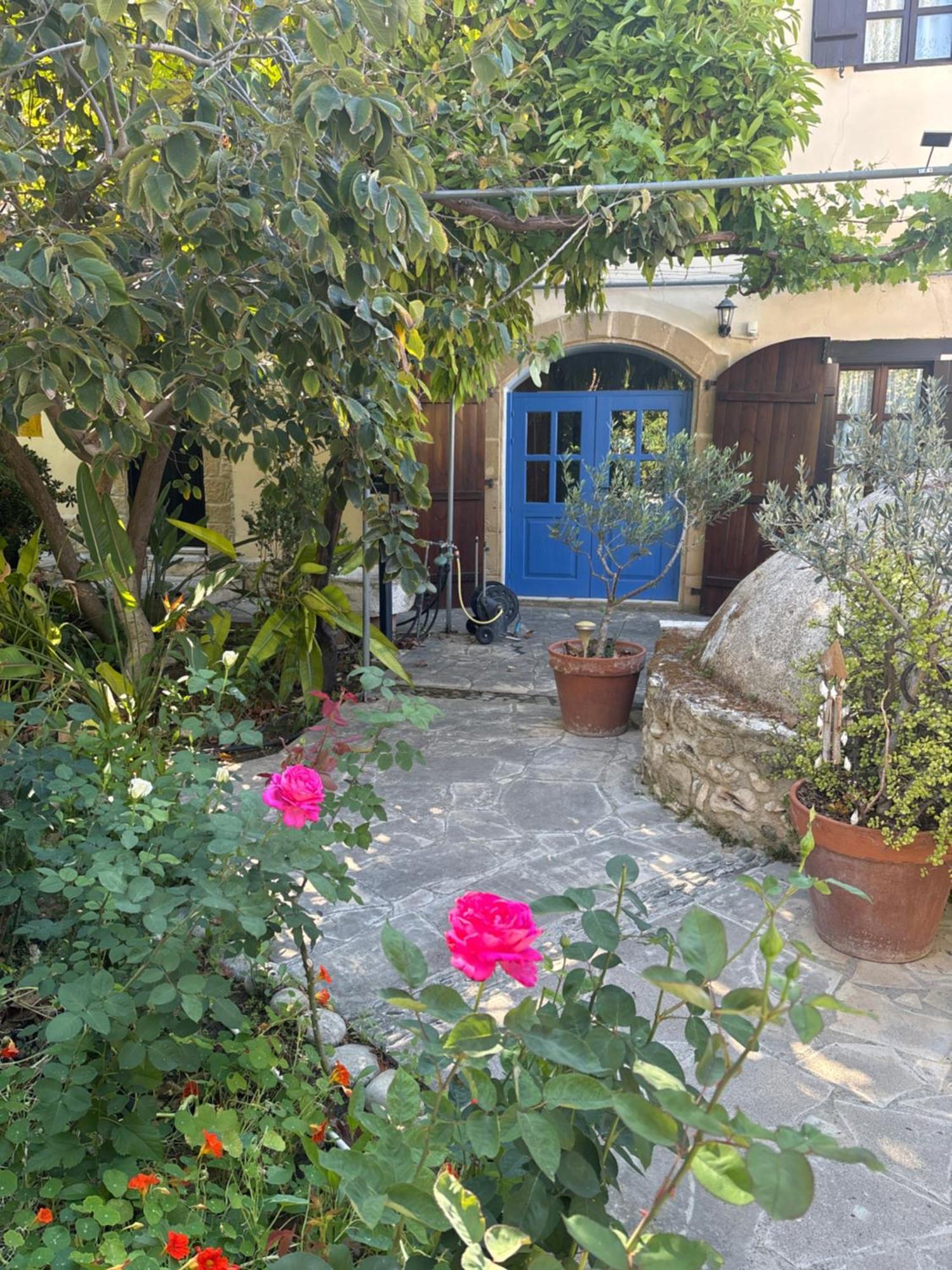 Villa Vasilion Agrotourism Polis Esterno foto