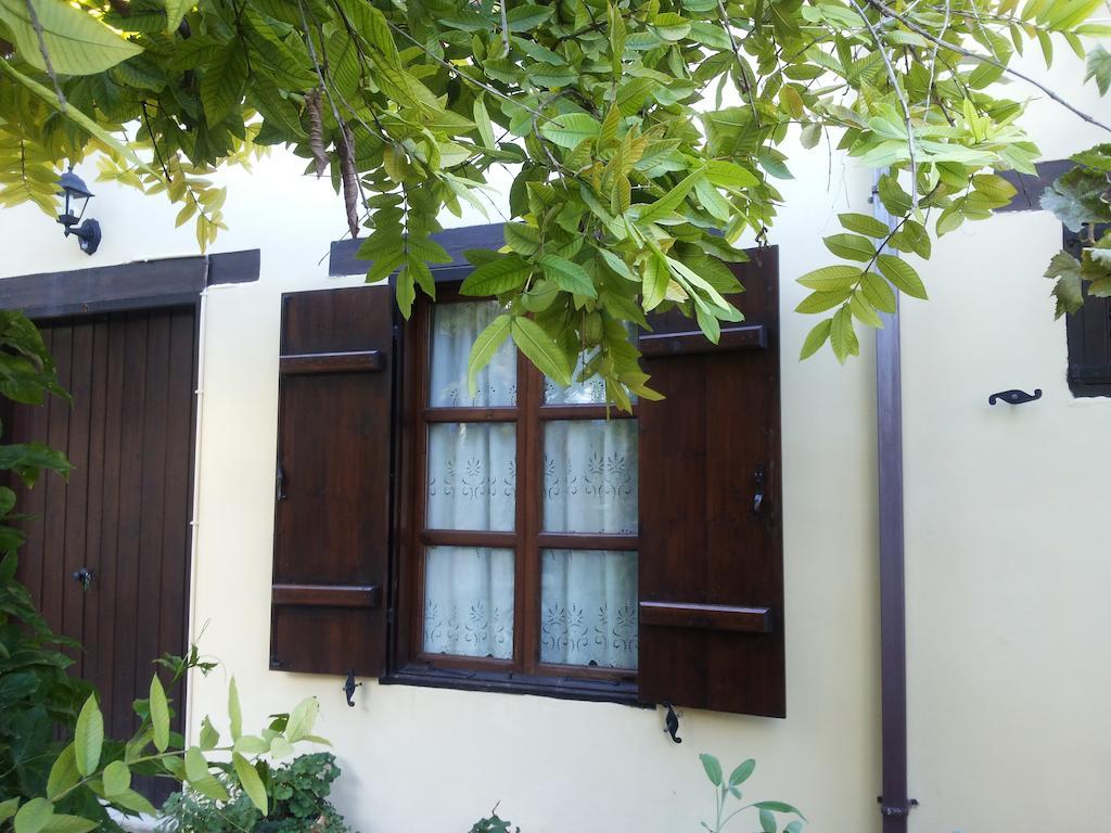 Villa Vasilion Agrotourism Polis Camera foto