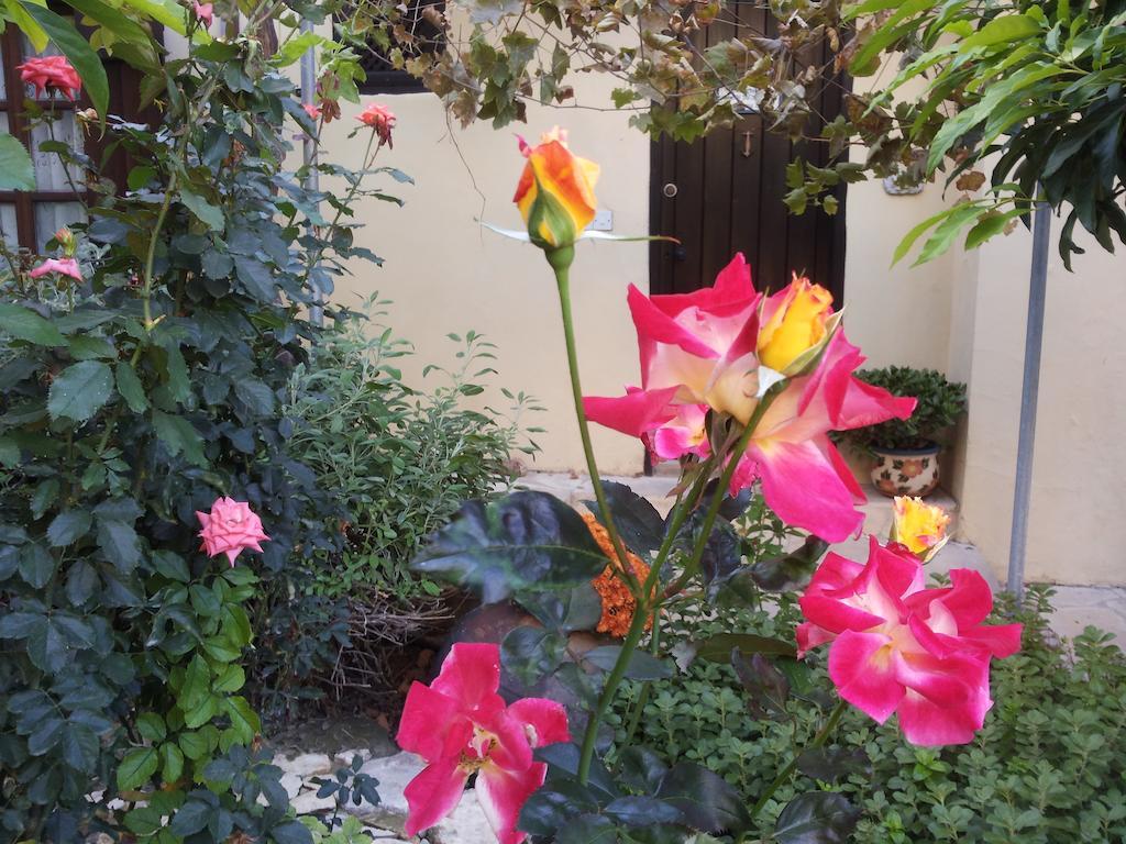 Villa Vasilion Agrotourism Polis Esterno foto