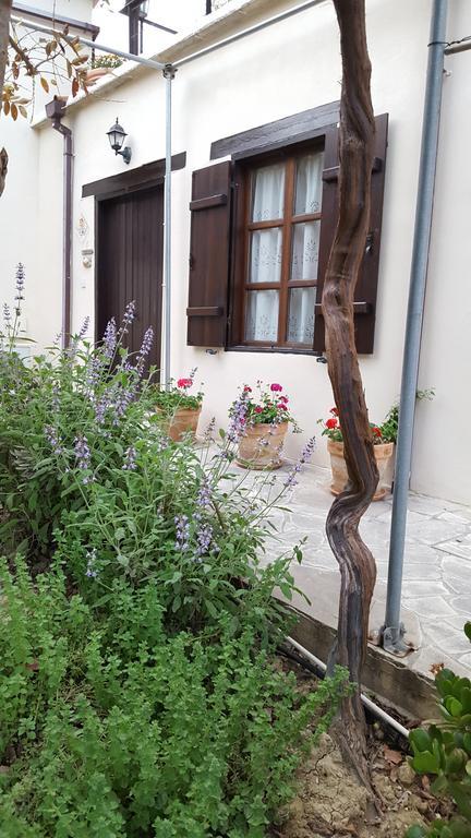 Villa Vasilion Agrotourism Polis Esterno foto