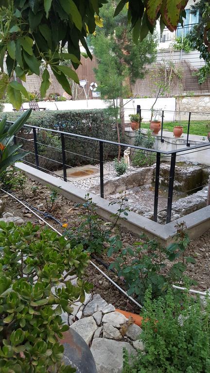 Villa Vasilion Agrotourism Polis Esterno foto