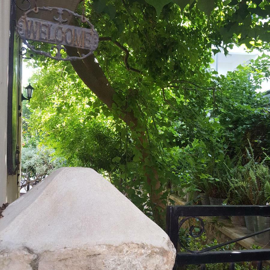 Villa Vasilion Agrotourism Polis Esterno foto